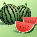 江苏江都大量供应8424西瓜！