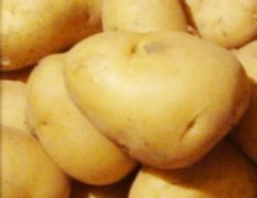 长期求购大量尤金885土豆。