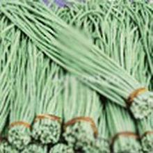山东聊城优质长豆角大量上市