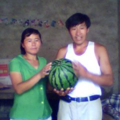 程庄镇从屯金桥瓜果大市场