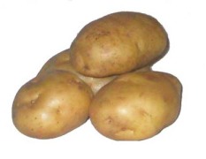1000亩土豆早大白，6月份出售