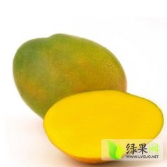 海南三亚3月到4月上市一批金煌芒果
