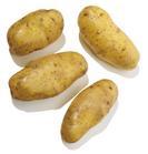 滕州市“马铃薯之乡”荷兰土豆大量上市