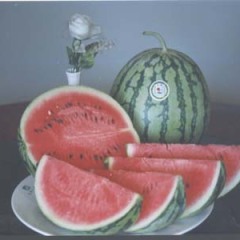 新鲜高质无催红大棚西瓜出售