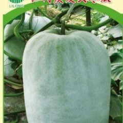 聊城市莘县冬瓜