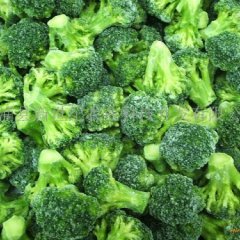 福建大量供应青花菜