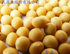 武昌鱼集团求购玉米,大豆,高粱,小麦