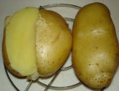 土豆之乡--大量供应土豆