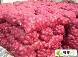 山东惠民惠普菜业有限公司大量供应洋葱