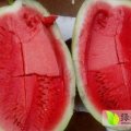 河南开封通许县诚信代办服务中心