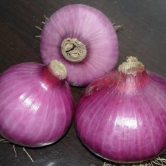 大量供应洋葱——2000吨以上