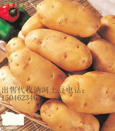 张喜庆电 话:我处是黑龙江省讷河市脱毒马铃薯的主产区,8月中旬市
