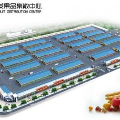 常年代理各种新鲜水果 山东淄博市场