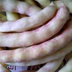 出售豆角、黄瓜（黄金勾2.3元/斤）