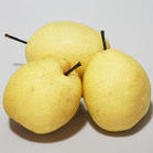 陕西中华玉梨基地