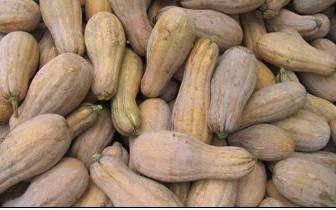 本人收购广西南瓜