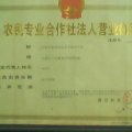 湖北松滋南宫闸村瓜菜合作社
