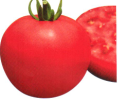 多米高-番茄种子