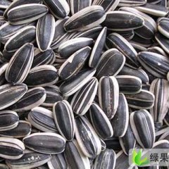 产地供应内蒙古葵花子