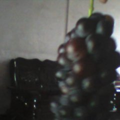 陕西水果代办.临渭区 交斜 仁村周家