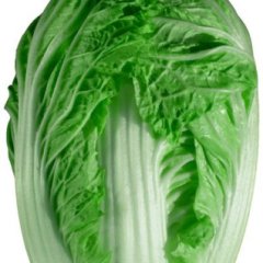 本人10亩自家种白菜、质量绝对包你满意、价格好商