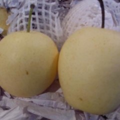 砀山优质皇冠梨 ，翠玉，绿宝石，黄金梨大量上市了