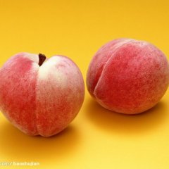 烟台开发区寒露蜜桃将上市欢迎客商