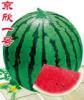 陕西大棚西瓜上市了-陕西大荔西瓜基地