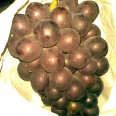 欢迎大家来买葡萄