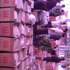 山东黄瓜正在上市