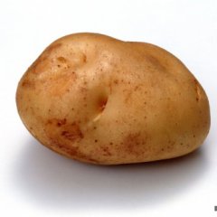 5000吨优质土豆急售