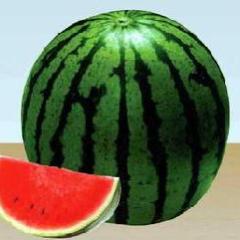 本人有大量西瓜出售100多墒地·低价