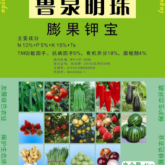 膨果钾宝 生物有机冲施肥