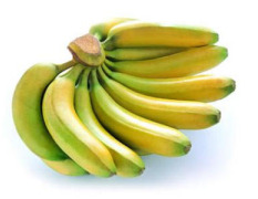 香蕉 香蕉苗 粉蕉苗 皇帝蕉苗 巴西蕉苗