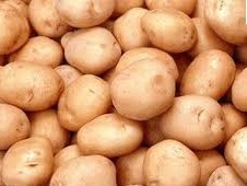 黑龙江牡丹江市有大量优质土豆待售