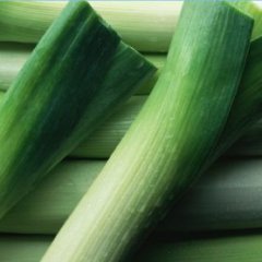 自家种植大葱大约产量20万斤左右