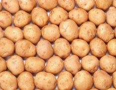  内蒙古通辽市现有12万斤土豆0.35元/斤