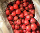 山东聊城冠县有大量山楂0.6-1.3元不等