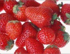 大棚草莓种植基地 新鲜草莓