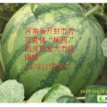 河南省开封市杏花营镇(榆园)西瓜批发大市场