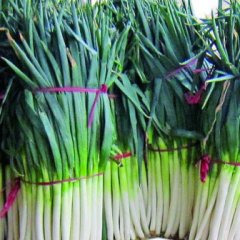 黑龙江绥化大葱