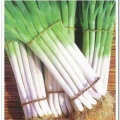 青岛平度万亩无公害蔬菜生产基地