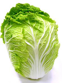 万亩无公害白菜基地