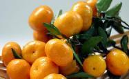 求批发商，本人供应代购大量的南丰蜜橘，贡橘