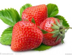 临沂郯城县现有五，六千亩大棚草莓等待出售