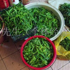 大量供应新鲜面条菜