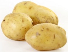 四川省会理县5月份有大量新鲜土豆上市