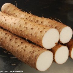 山东单县终兴镇供应山药、现已上