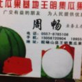 安徽瓜果基地