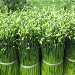 绿农合作社供应-韭菜花